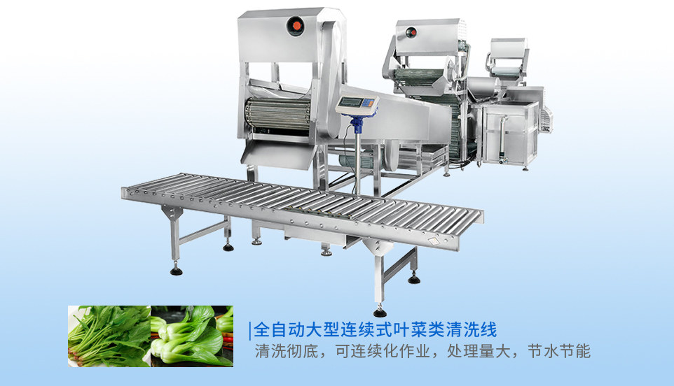 全自動(dòng)大型連續(xù)式葉菜類(lèi)清洗線(xiàn)